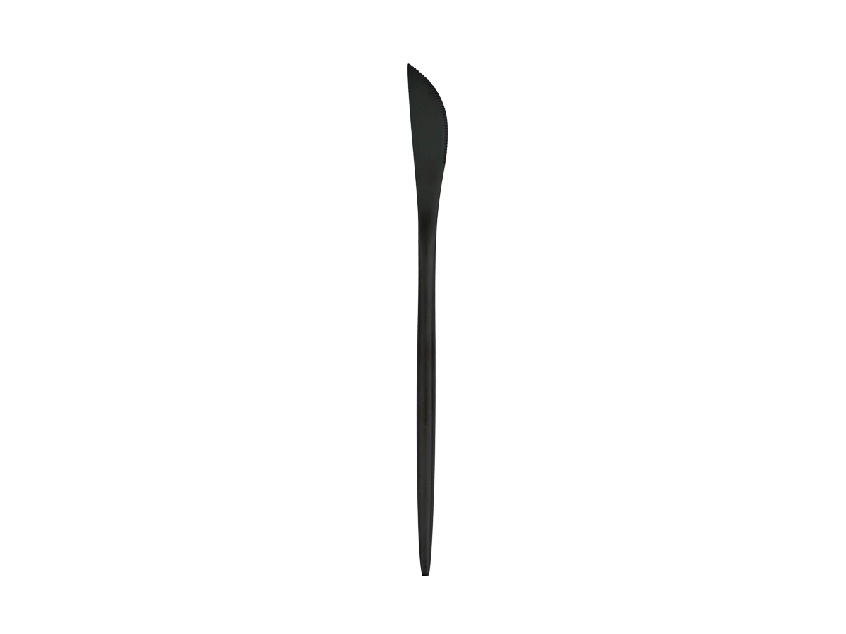 Black Entree Knife.jpg