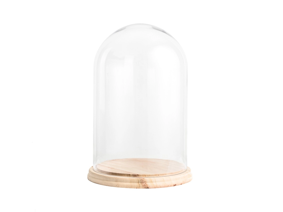 Large Dome .jpg