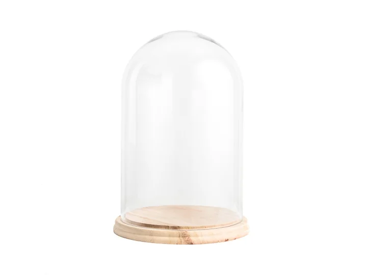 Large Dome .jpg